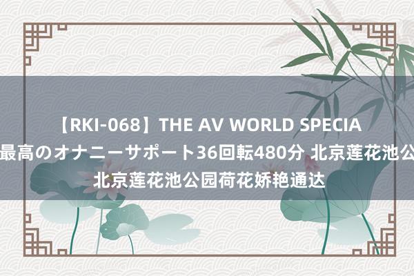 【RKI-068】THE AV WORLD SPECIAL あなただけに 最高のオナニーサポート36回転480分 北京莲花池公园荷花娇艳通达