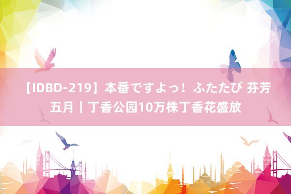 【IDBD-219】本番ですよっ！ふたたび 芬芳五月｜丁香公园10万株丁香花盛放