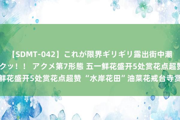 【SDMT-042】これが限界ギリギリ露出街中潮吹き アクメ自転車がイクッ！！ アクメ第7形態 五一鲜花盛开5处赏花点超赞 “水岸花田”油菜花戒台寺赏丁香