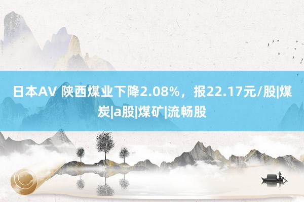 日本AV 陕西煤业下降2.08%，报22.17元/股|煤炭|a股|煤矿|流畅股