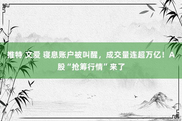 推特 文爱 寝息账户被叫醒，成交量连超万亿！A股“抢筹行情”来了