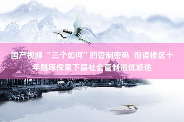 国产视频 “三个如何”的管制密码  饱读楼区十年雕琢探索下层社会管制最优旅途